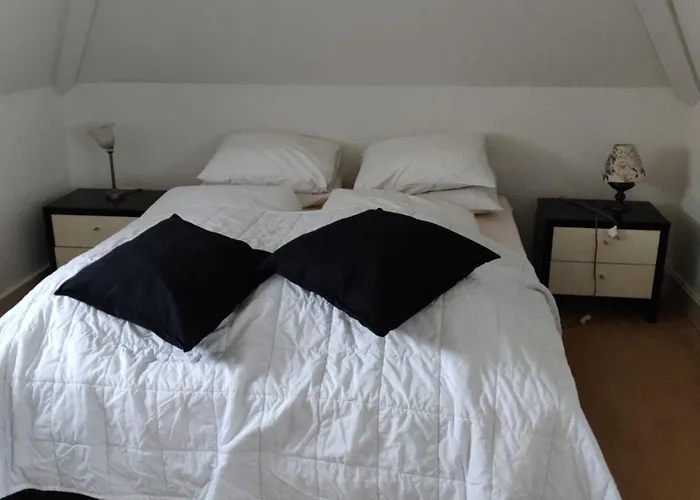 Apartamento Zit Slaapkamer Op De 2e Etage In Rietgedekte Met Gedeelde Douche En Keuken Wassenaar